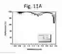 Fig. 15 - CHIRPED DICHROIC MIRROR AND A SOURCE FOR BROADBAND LIGHT PULSES