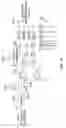 Fig. 08 - Regulation of powertrain converter circuit