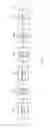 Fig. 04 - APPARATUS AND METHOD FOR PROCESSING SIGNAL OF BASESTATION