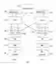 Fig. 08 - Transparent auto-negotiation of ethernet