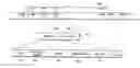 Fig. 01 - Time-slotted data packets with a preamble