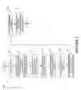 Fig. 03 - Automatic message management utilizing speech analytics