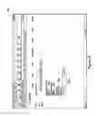 Fig. 09 - ELECTRONIC DOCUMENT DELIVERY