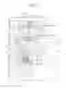 Fig. 04 - Focal plane shutter for cameras and digital camera provided with the same