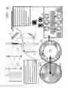 Fig. 09 - Passive imaging correction method using feedback