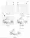 Fig. 06 - Projector drift corrected compensated projection
