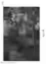 Fig. 11 - Projector drift corrected compensated projection