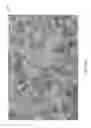Fig. 12 - Projector drift corrected compensated projection