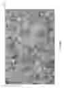 Fig. 13 - Projector drift corrected compensated projection