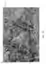 Fig. 19 - Projector drift corrected compensated projection