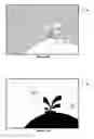 Fig. 31 - Systems and methods for digital photography