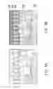 Fig. 06 - Focused image generation single depth information from multiple images from multiple sensors