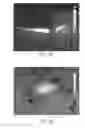 Fig. 09 - INSECT TRAP