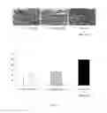 Fig. 07 - Mesenchymal stem cell extract and its use