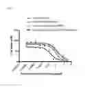 Fig. 07 - Targeted poorly water-soluble drug delivery system, method of preparing the same, and pharmaceutical composition including the same