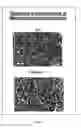 Fig. 06 - Methods and use of inducing apoptosis in cancer cells