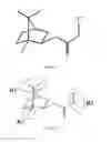 Fig. 06 - Small molecule inhibitors of replication protein A that also act synergistically with cisplatin
