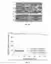 Fig. 08 - Poly(thioketal-urethane) scaffolds and methods of use