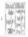 Fig. 02 - Isolation and co-transplantation of bone marrow mesenchymal stem cells with CD34+ hematopoietic stem/progenitor cells