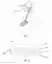 Fig. 02 - COATED MEDICAL DEVICE