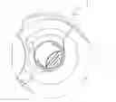 Fig. 01 - Dry powder inhaler