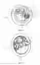 Fig. 22 - Dry powder inhaler