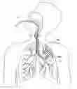 Fig. 01 - Methods and devices for passive residual lung volume reduction and functional lung volume expansion