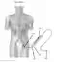 Fig. 02 - Guidewire manipulation device