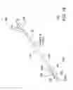 Fig. 17 - Endovascular devices and methods for exploiting intramural space
