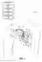 Fig. 02 - Automated phrenic nerve stimulation and pacing capture threshold test