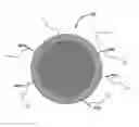 Fig. 01 - MICROCAPSULES