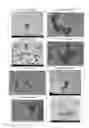 Fig. 02 - PROCESS FOR PRODUCING COATED SILVER FINE PARTICLES AND COATED SILVER FINE PARTICLES PRODUCED BY SAID PRODUCTION PROCESS