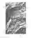 Fig. 02 - CAMOUFLAGE PATTERN AND METHOD FOR GENERATING CAMOUFLAGE PATTERN