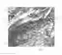 Fig. 07 - CAMOUFLAGE PATTERN AND METHOD FOR GENERATING CAMOUFLAGE PATTERN