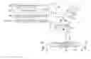 Fig. 01 - Electric power steering apparatus