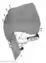 Fig. 15 - Stowable truck bed cover and height extender