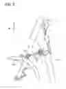 Fig. 10 - Vehicle