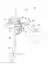 Fig. 01 - Operating device of electric outboard motor
