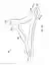 Fig. 04 - Broad goods composite yoke for rotor system