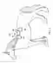Fig. 02 - Saddle