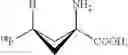 Fig. 06 - Preparation of F-fluciclovine