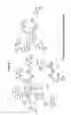 Fig. 09 - Copper-catalysed ligation of azides and acetylenes