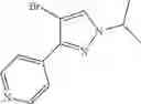 Fig. 111 - NOVEL RAF KINASE INHIBITORS