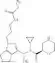 Fig. 197 - Renin inhibitor