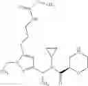 Fig. 216 - Renin inhibitor