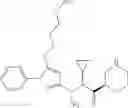 Fig. 239 - Renin inhibitor