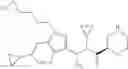 Fig. 43 - Renin inhibitor