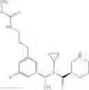 Fig. 99 - Renin inhibitor