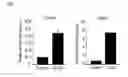 Fig. 02 - Methods of treating metabolic disorders