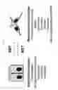 Fig. 04 - Anti-tumour response to modified self-epitopes